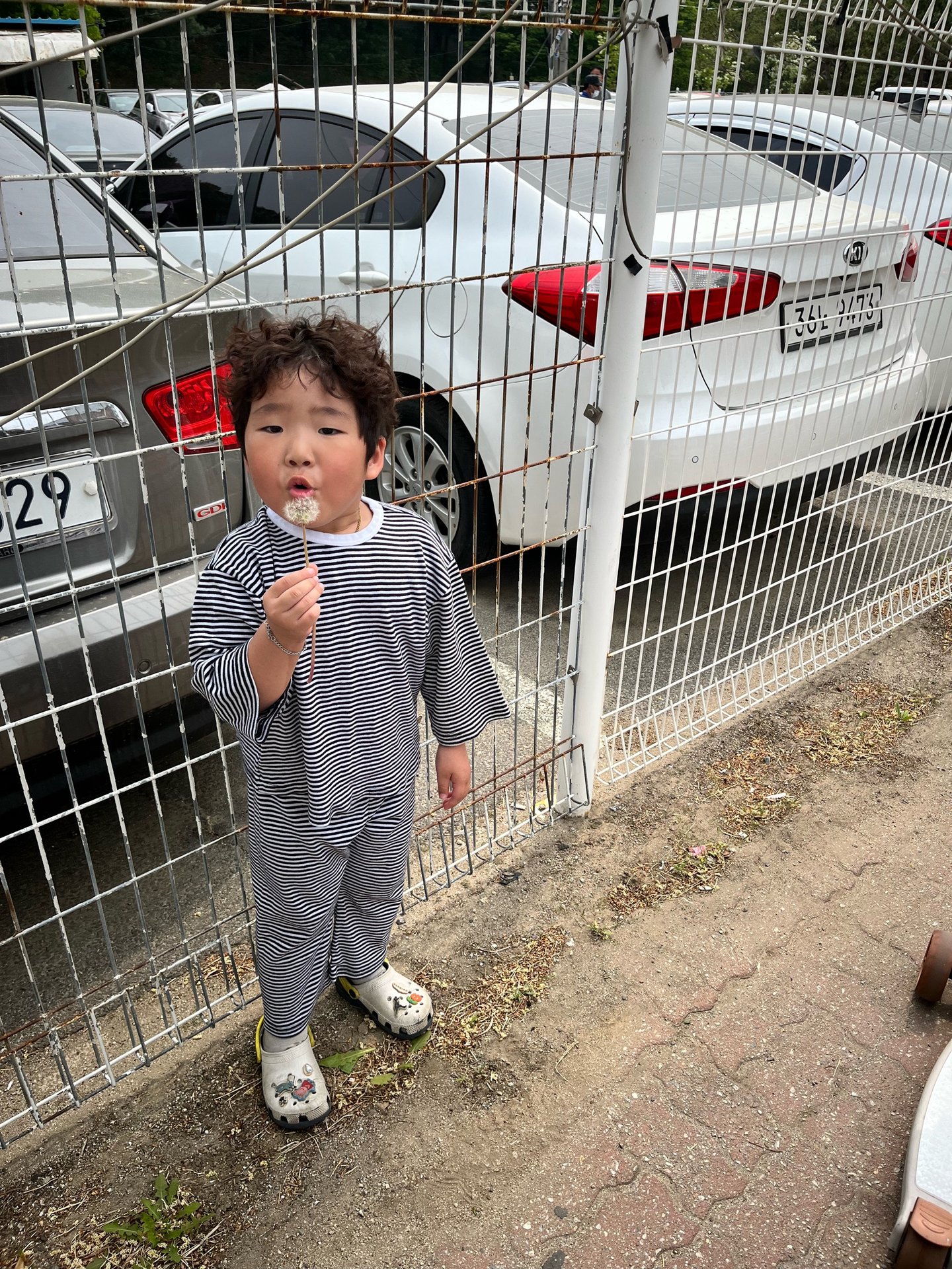 게시글 이미지